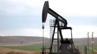 EIA`dan petrol fiyatı tahmini EIA`dan petrol fiyatı tahmini
